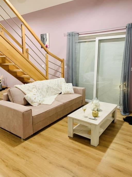 Appartement Gite Cosy Au Coeur De L'alsace Roggenhouse